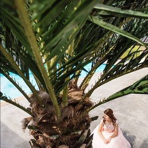 Meet your Posher, Jane